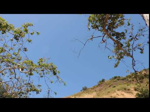 Videó: Félig átlátszó UFO Jelent Meg A Hollywood Hills Feletti Portálról - Alternatív Nézet