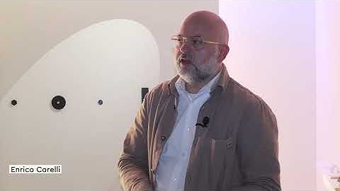 Testimonials 2025 | PLH