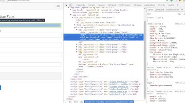 Angular Training Part 6 - Adding FormControl to an NgForm