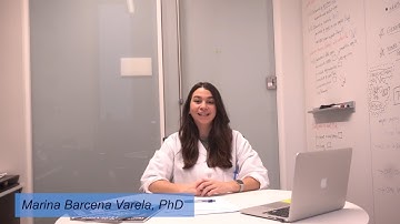 Epigenetic mechanisms and metabolic reprogramming in fibrogenesis