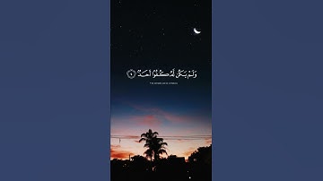 القرآن الكريم سورة الإخلاص القارئ محمد محمود الطبلاوي رحمه الله