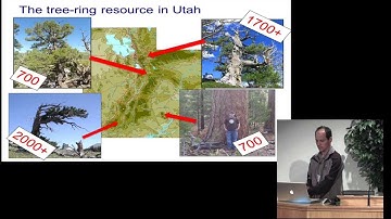 Matthew Bekker -- Reconstruction of extreme drought from tree rings