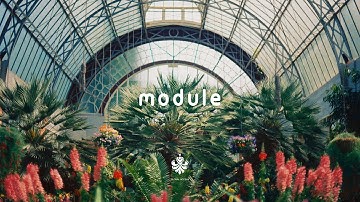 Aisling Brouwer - Chain of Betters