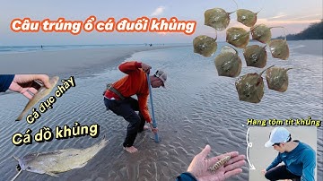 Một đêm câu trúng ổ cá đuối khủng!@Longvlog86