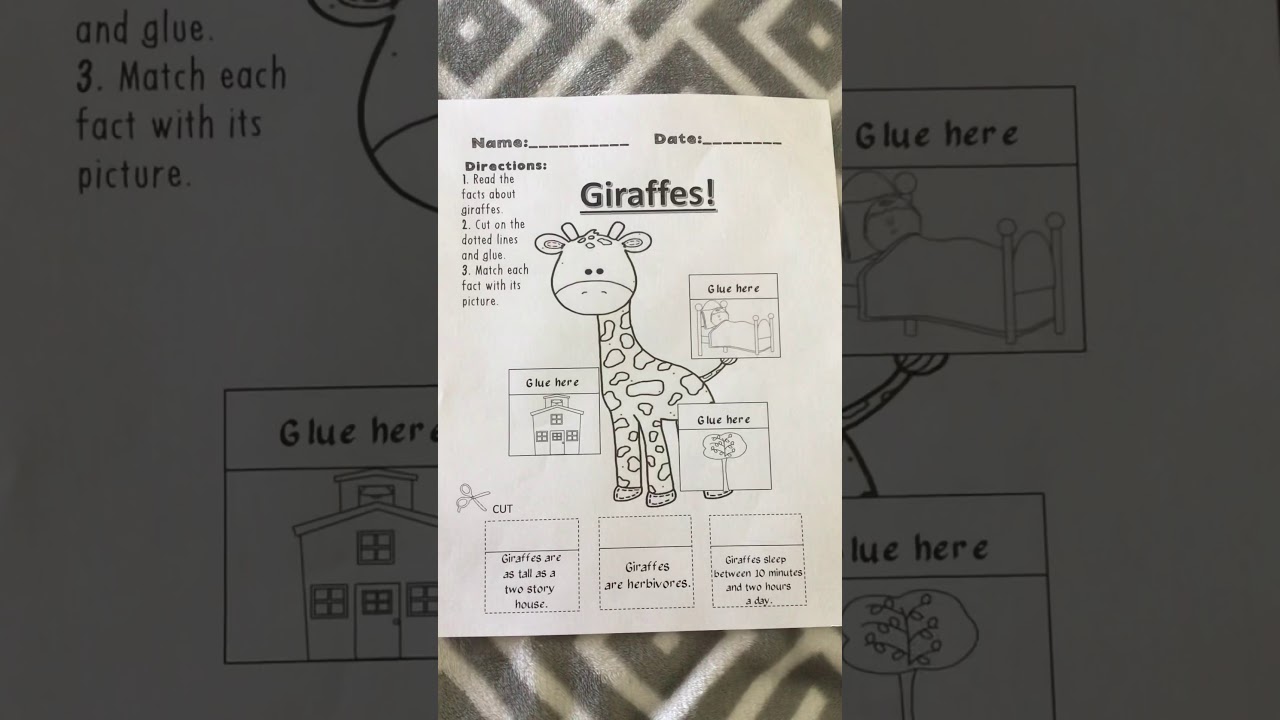 Giraffe worksheet - YouTube