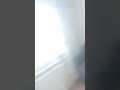 Guzo Guzo