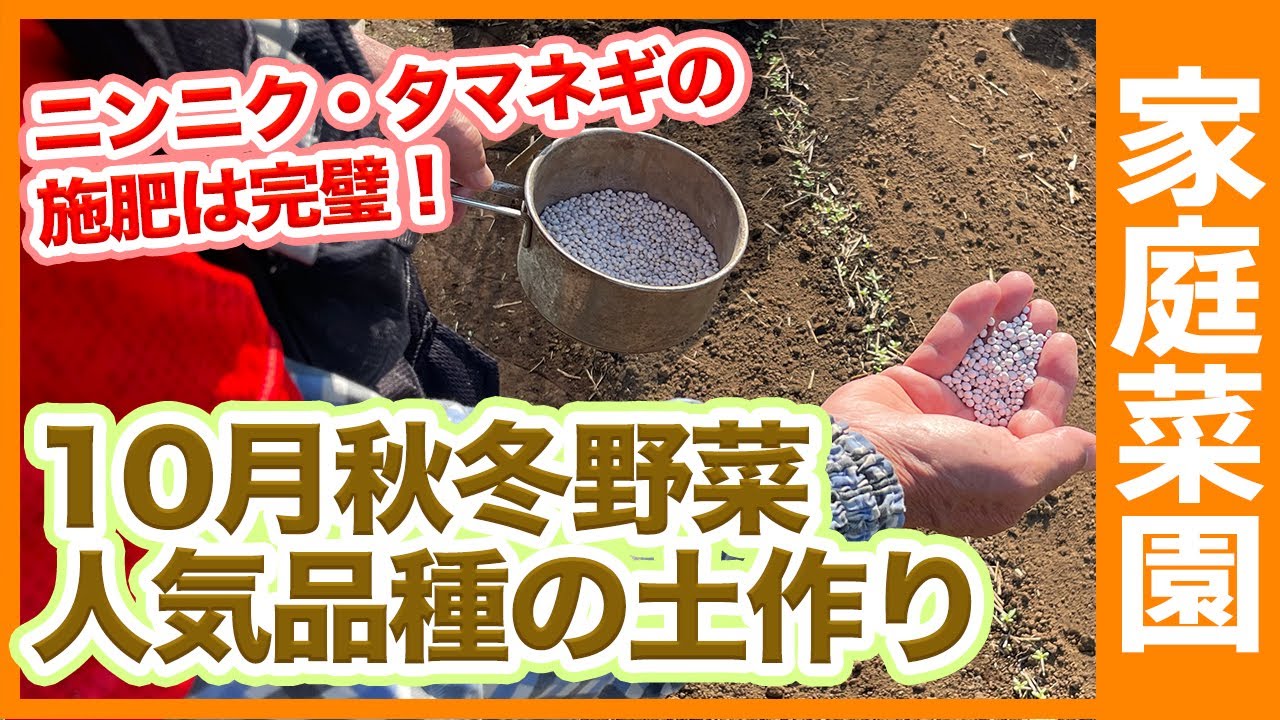 10月家庭菜園で栽培する秋冬野菜の施肥量を解説 小松菜 ほうれん草 水菜等の葉物野菜や玉ねぎ ニンニク イチゴなど秋冬野菜における肥料の使い方をご紹介 農家直伝 Youtube 10月家庭菜園で栽培する秋冬野菜の施肥量を解説 小松菜 ほうれん草 水菜等の葉物野菜や玉ねぎ ニンニク イチゴなど秋冬野菜における肥料の使い方をご紹介 農家直伝 Youtube