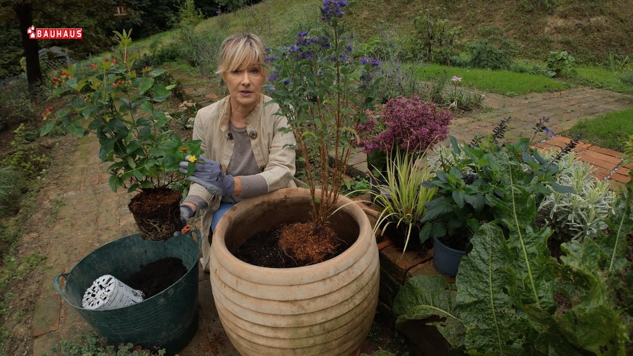 Škola vrtlarstva - jesenska cvjetna posuda
