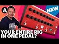 Your entire rig in one pedal  blackstar amped 2