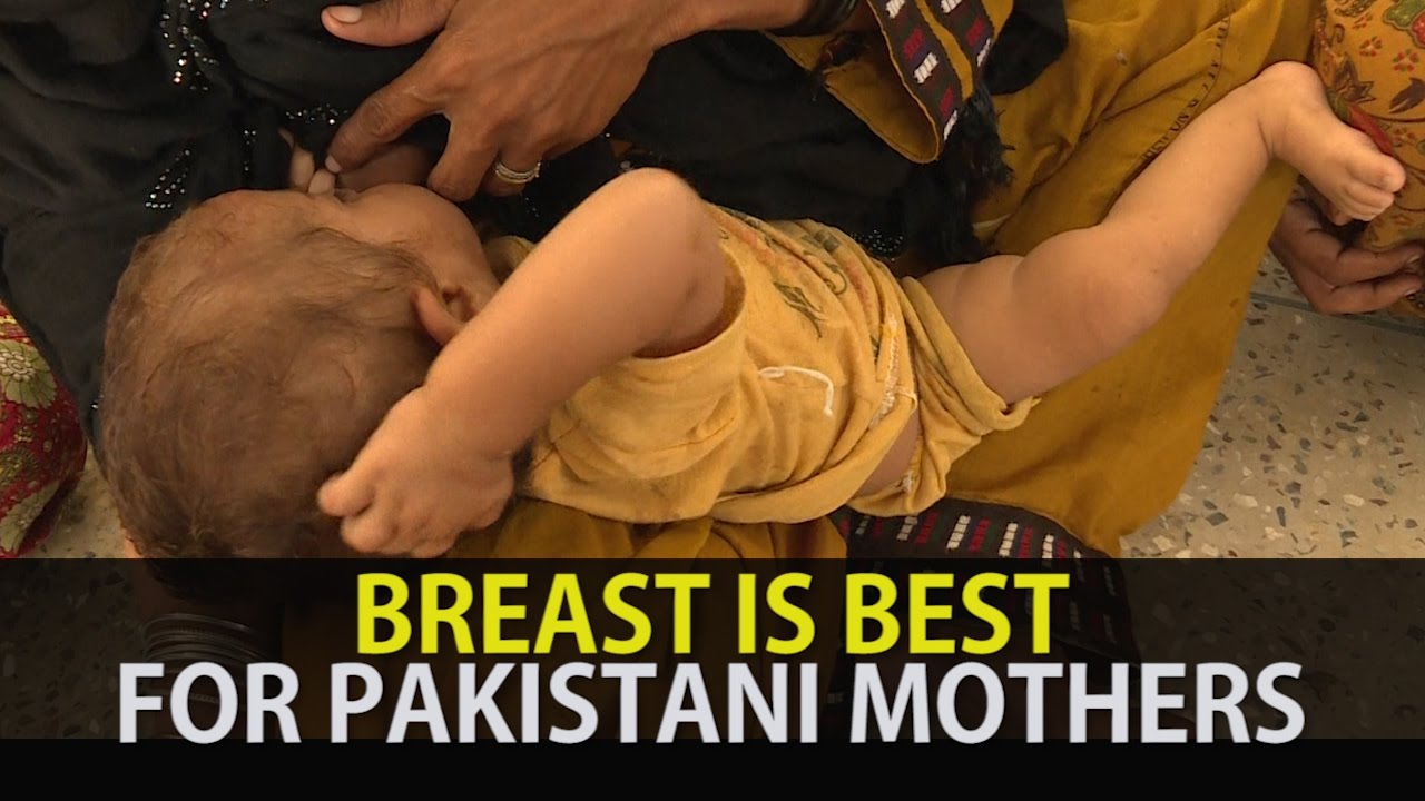 Pakistani Breasts