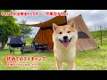 ã平尟å°ãã©ã¹ãããã°ã©ã³ã§åãã£ã³ãã«ææŠãããããœãåã®è²ã
ãªè¡šæ
ãèŠããŸããâšãïŒ86ã