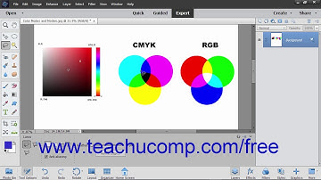 Photoshop Elements 2019 Tutorial The Lasso Tool Adobe Training