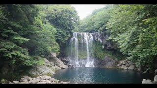 Day 2 - Jeju Jusangjeolli cliff | Cheonjeyeon Waterfalls | Songak Mountain | Osulloc Tea Farm &amp; Cafe