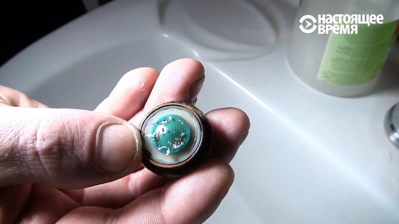 могильные черви фото смотреть