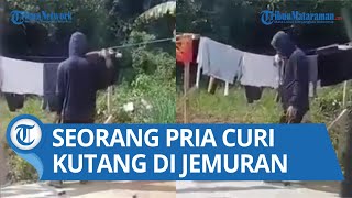 Terekam Kamera Seorang Pria Maling Kutang di Jemuran, Sempat Dicium Pula