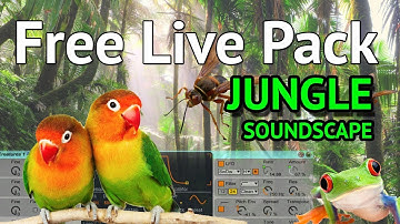 FREE Ableton Live Pack || JUNGLE SOUNDSCAPE || Emulating Nature with Synths