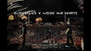 Butterflies x Inside Our Hearts (Alesso Mashup) by Rasmus G 