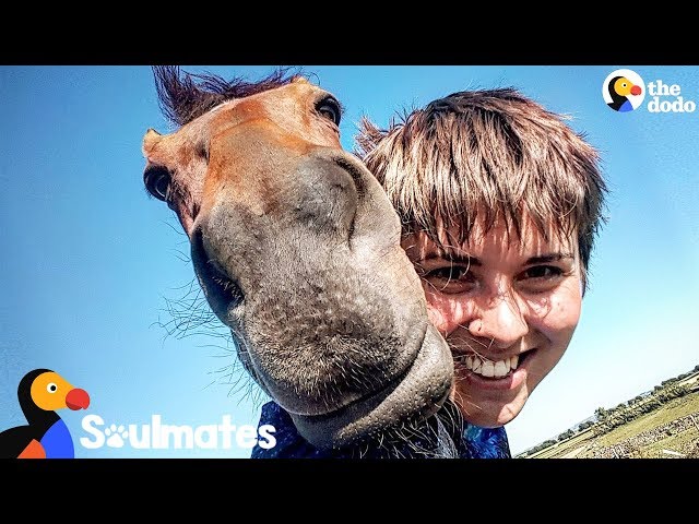 Horse And Her Mom Saved Each Others Lives | The Dodo Soulmates