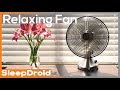 ► 4k No Loop Desk Fan, Fan Sounds for Sleeping: White Noise, ASMR Bedroom Fan Sound (not box fan)