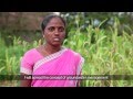 Is Ignorance Bliss? - Participatory Groundwater Management in Maharashtra