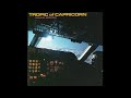 10. 南回帰線 (Tropic of Capricorn ) - Momoko Kikuchi ( 1985 )