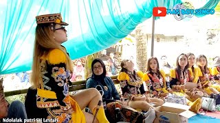 Cau Gletak Si Cantik Dari Jauh Sana  Siwandono Sri Lestari