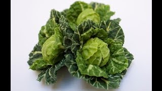 Making Miniature Cabbages in 12th Scale - Angie Scarr Fruit & Vegetables DVD