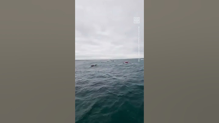 Man Rows From NYC to Ireland in Historic 112-Day Journey 🚣‍♂️
