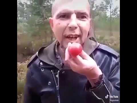 Video: Pomidoras