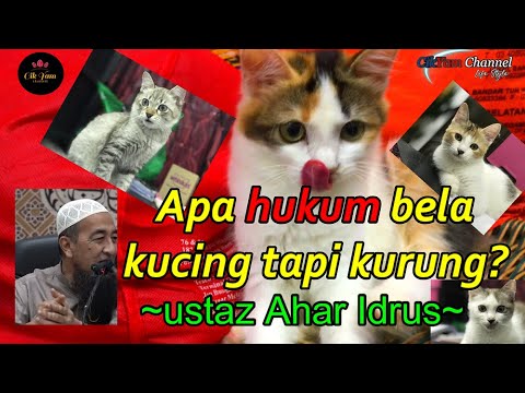 Apakah hukum pelihara kucing tapi kurung? -Ustaz Azhar Idrus