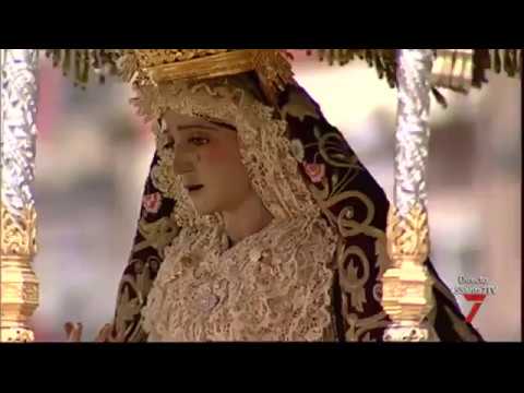 Real, Ilustre y Fervorosa Hermandad Sacramental de la Pura y Limpia Concepción de la Santísima Virgen María, Ánimas Benditas del Purgatorio y Cofradía de Nazarenos del Santísimo Cristo de la Salud, María Santísima del Refugio, Santa Cruz, Nuestra Señora del Patrocinio, Santa Bárbara y San Bernardo