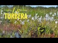 La Turbera. Un gigantesco sumidero de carbono.