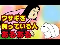 【漫画アニメ】ウサギを飼っている人しか知らないあるある【キュンです】