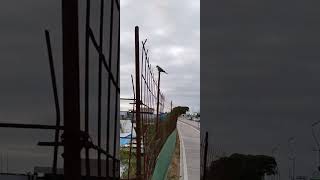 VID 20230415 082211903