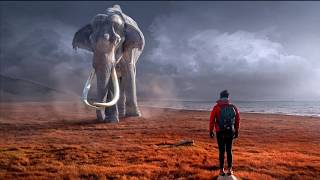 The Elephant Rope | A Motivational Story | Inspire | Motivate