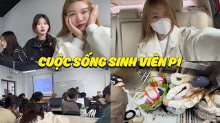 Cuộc Sống Sinh Viên Của Mình Đã Diễn Ra NTN, Đi Làm, Hẹn Hò, Bạn Bè….