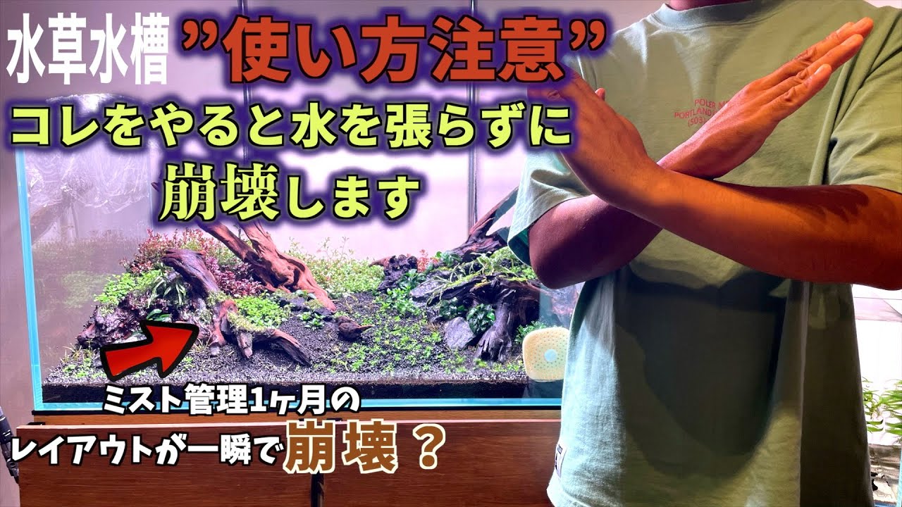 注水編【衝撃崩壊映像】これをやったら水を張る前にレイアウト崩壊します（しました）#aquarium #ネイチャーアクアリウム #水草水槽 #水草レイアウト水槽