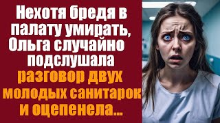 видео: НЕХОТЯ БРЕДЯ В ПАЛАТУ УМИРАТЬ, ОЛЬГА СЛУЧАЙНО ПОДСЛУШАЛА РАЗГОВОР ДВУХ МОЛОДЫХ САНИТАРОК И ОЦЕПЕНЕЛА картинка: НЕХОТЯ БРЕДЯ В ПАЛАТУ УМИРАТЬ, ОЛЬГА СЛУЧАЙНО ПОДСЛУШАЛА РАЗГОВОР ДВУХ МОЛОДЫХ САНИТАРОК И ОЦЕПЕНЕЛА