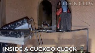 Inside a Cuckoo Clock | A Look at the Mechanism