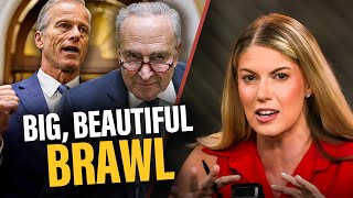 Why Both Parties Are Having a RECKONING Amid Big, Beautiful Brawl