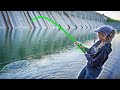 What Lives In This MASSIVE SPILLWAY After Being DRAINED?!? (SURPRISING)