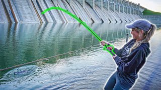 What Lives In This MASSIVE SPILLWAY After Being DRAINED?!? (SURPRISING)