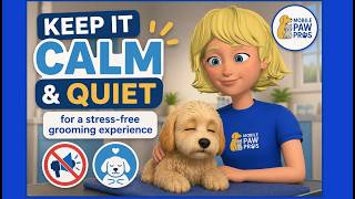Keep Pet Grooming Location Calm & Stress-Free