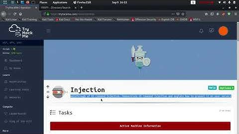 tryhackme Injection Walkthrough | OS command injection
