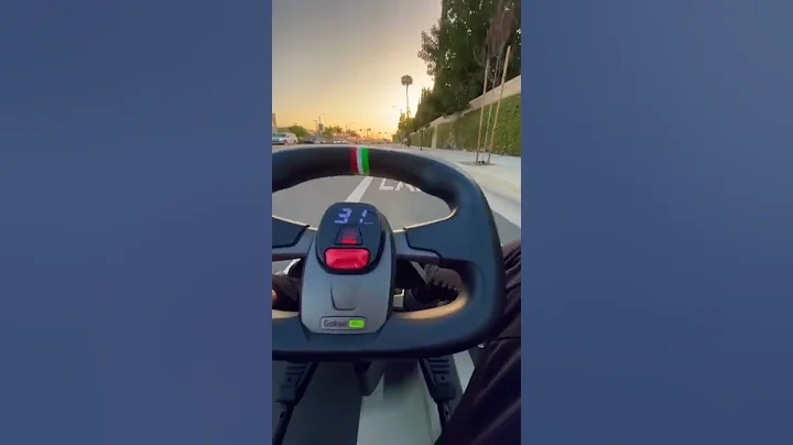 Ninebot go kart pro! Morning weekend cruise !