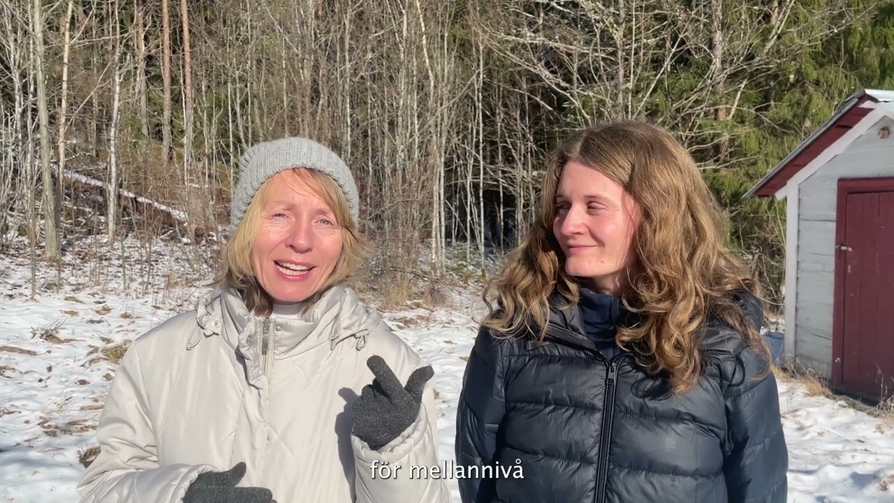 Vårkurser på svenska! Schwedisch lernen im Frühjahr! Discover the joy of learning Swedish!