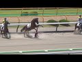 函館6Rにて新馬ローレルゼロが飛行機に驚いて齋藤新騎手が落馬!