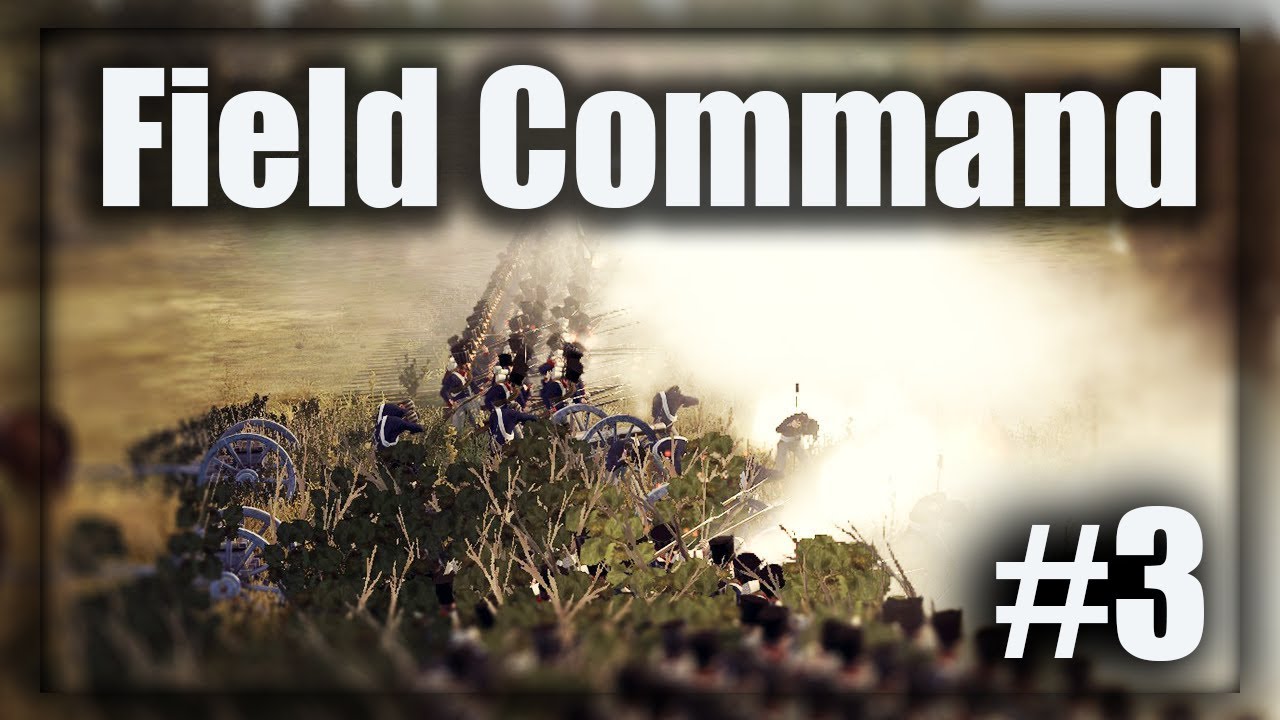 FRANCES FALLS to the PRUSSIAN PAINTER! - Field Command Napoleon #3