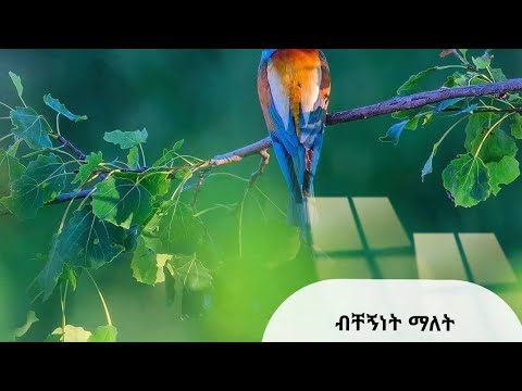 ቪዲዮ: DoDAAC ምን ማለት ነው?