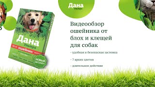 Обзор ошейника от блох и клещей | Дана Ультра для собак | Апиценна | Из России